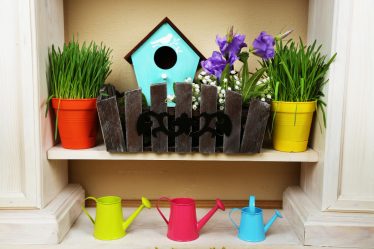 Idées pour décorer votre jardin