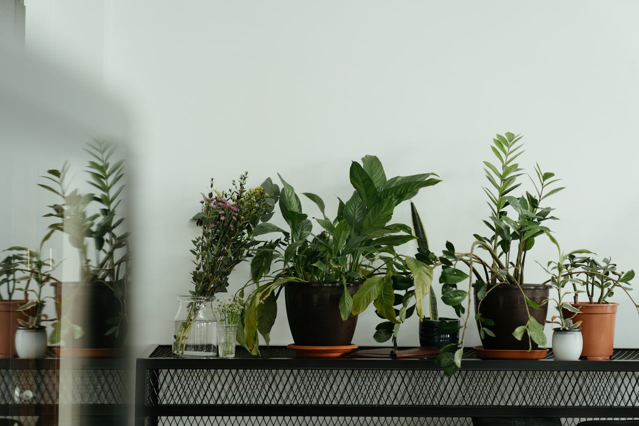 Idées pour décorer votre salon avec style