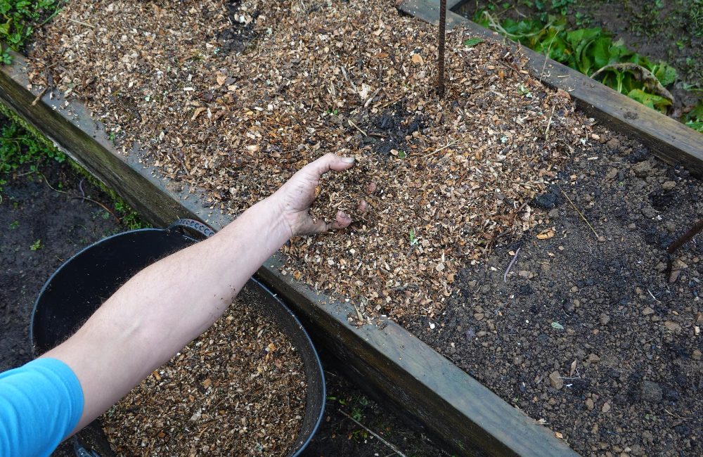 protéger les plantes du gel