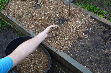 protéger les plantes du gel
