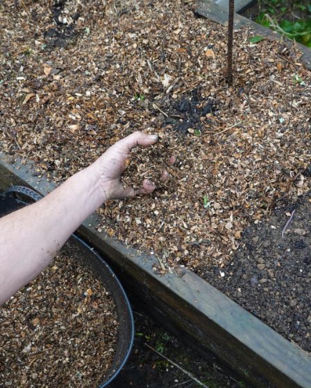 protéger les plantes du gel